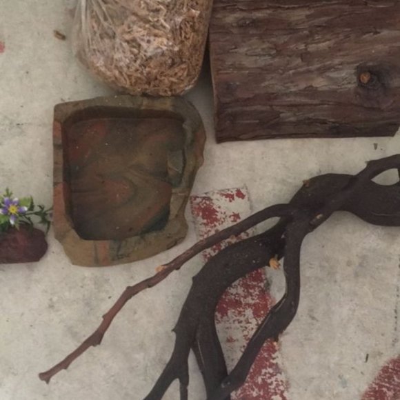 Reptile Habitat Tank Accessories - Picture 1 of 3